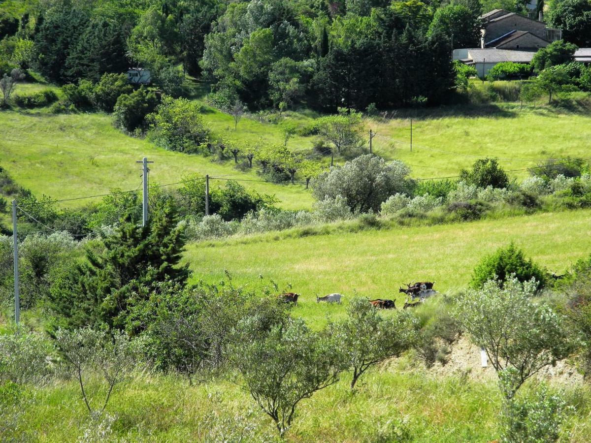 Pontet-Fronzele Agrotourisme Ecologique, Maison D'Hotes & Spa Lagorce  Exterior foto